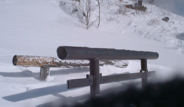 �эj�_�Ђ̒����E�E�E���Ǝv���B�x���`����Ȃ��Ǝv���B�����B