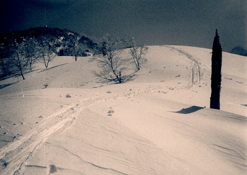 �B�e�̓��R�[�E�I�[�g�n�[�t�Ŕ����t�B����